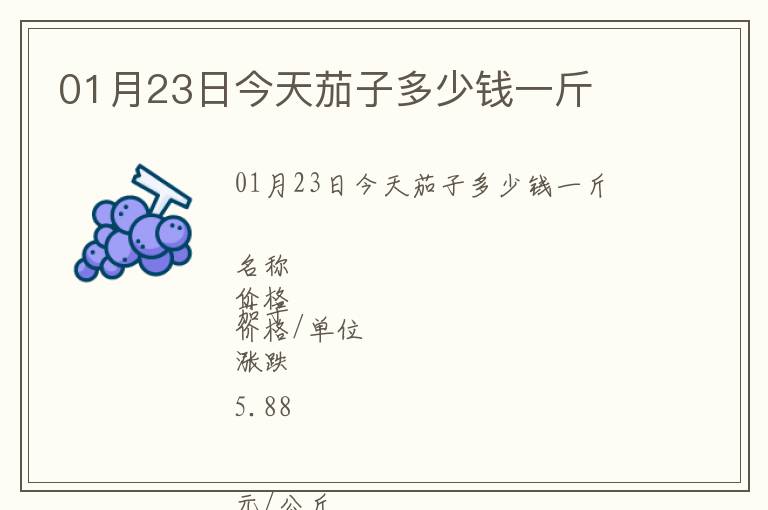 01月23日今天茄子多少錢(qián)一斤
