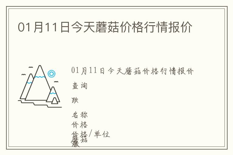 01月11日今天蘑菇價格行情報價