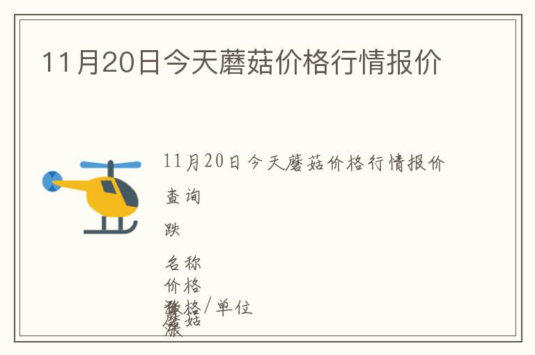 11月20日今天蘑菇價格行情報價