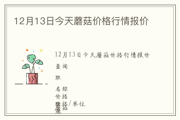 12月13日今天蘑菇價格行情報價