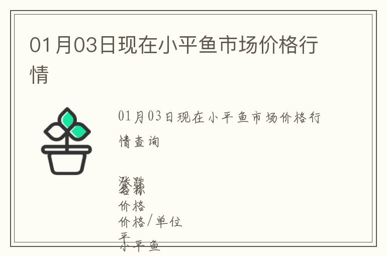 01月03日現在小平魚市場價格行情