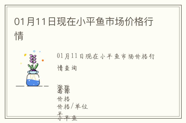 01月11日現在小平魚市場價格行情