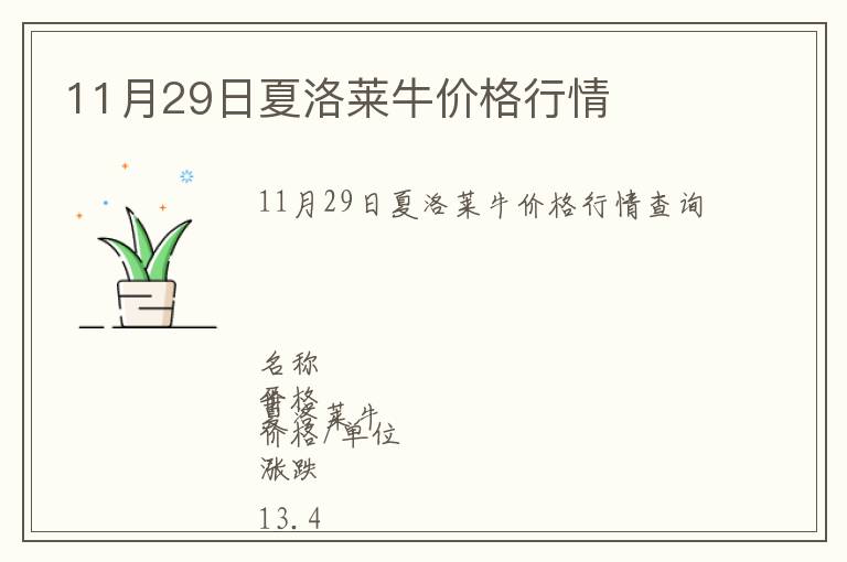 11月29日夏洛萊牛價格行情