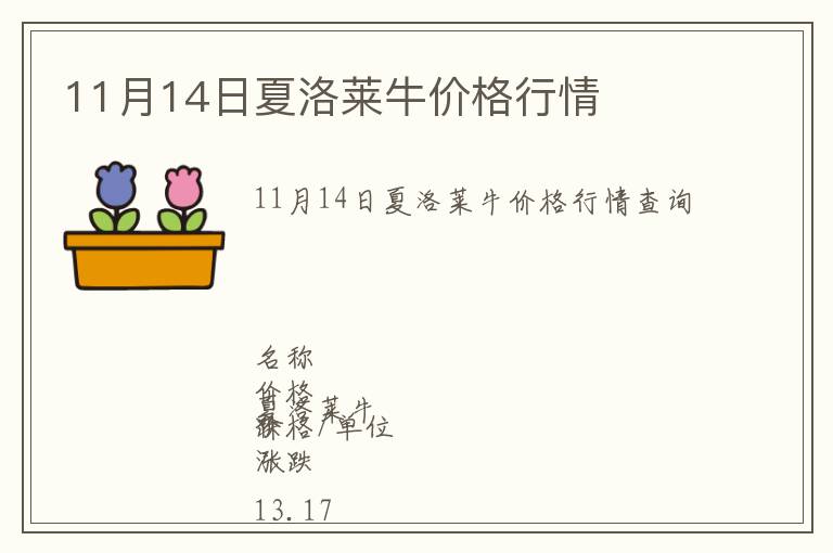 11月14日夏洛萊牛價格行情