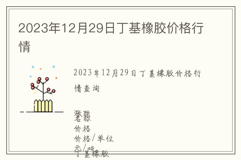 2023年12月29日丁基橡膠價格行情