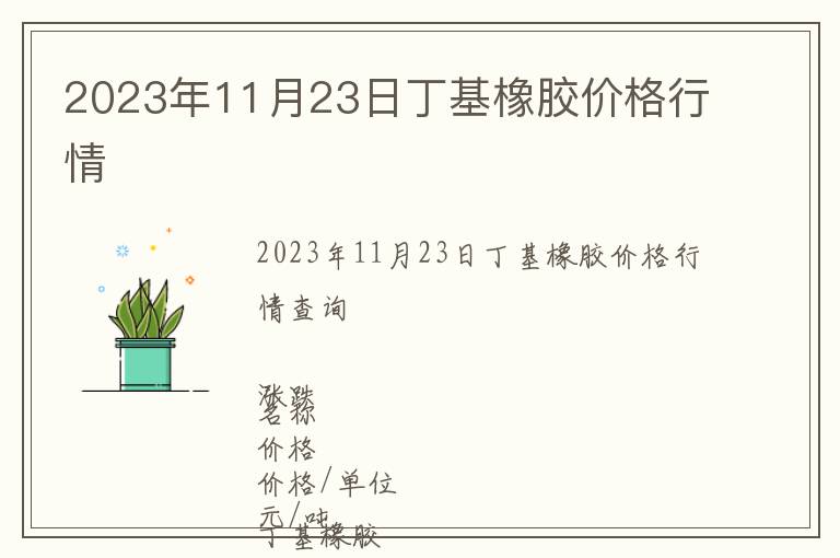2023年11月23日丁基橡膠價格行情