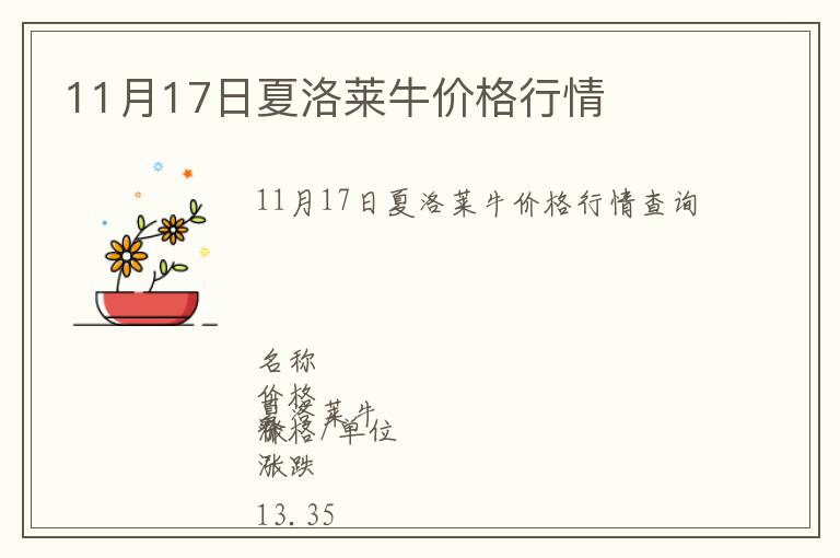 11月17日夏洛萊牛價格行情