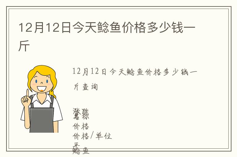12月12日今天鯰魚價格多少錢一斤