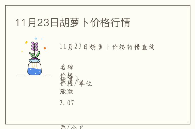 11月23日胡蘿卜價格行情