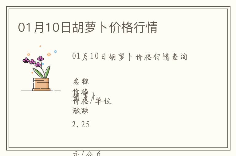01月10日胡蘿卜價格行情