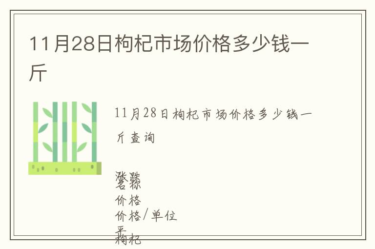 11月28日枸杞市場價格多少錢一斤