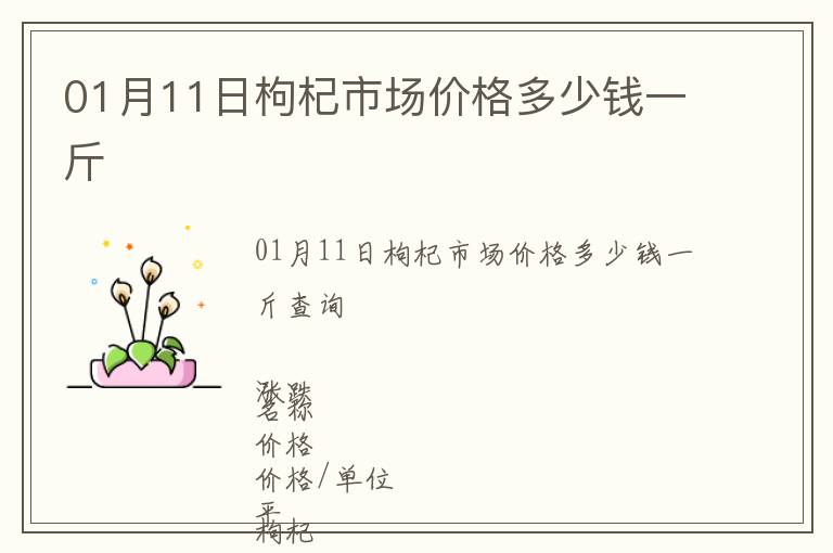 01月11日枸杞市場價格多少錢一斤