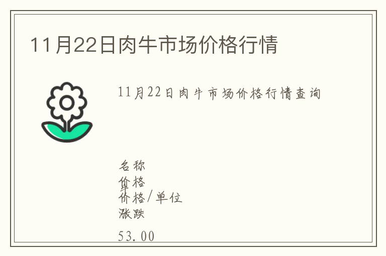 11月22日肉牛市場價格行情