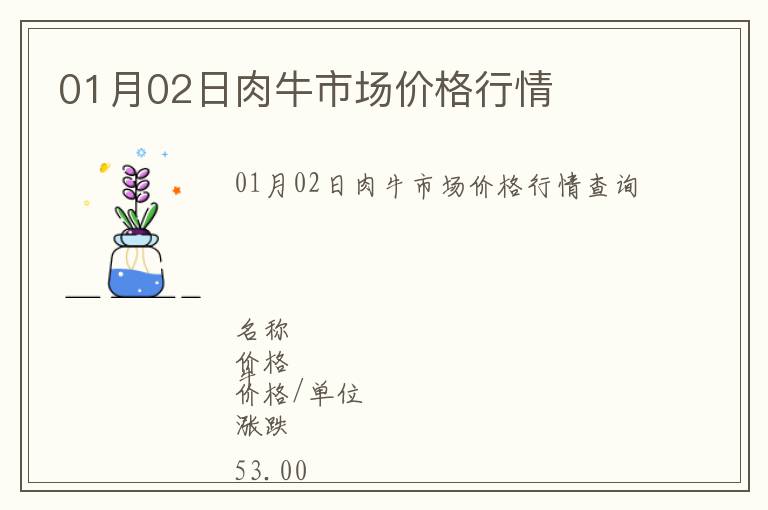 01月02日肉牛市場價格行情