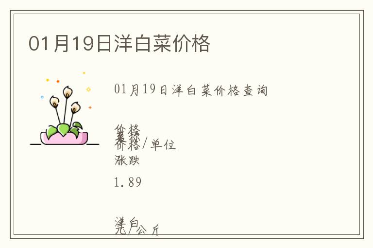 01月19日洋白菜價格