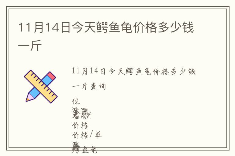 11月14日今天鱷魚龜價格多少錢一斤