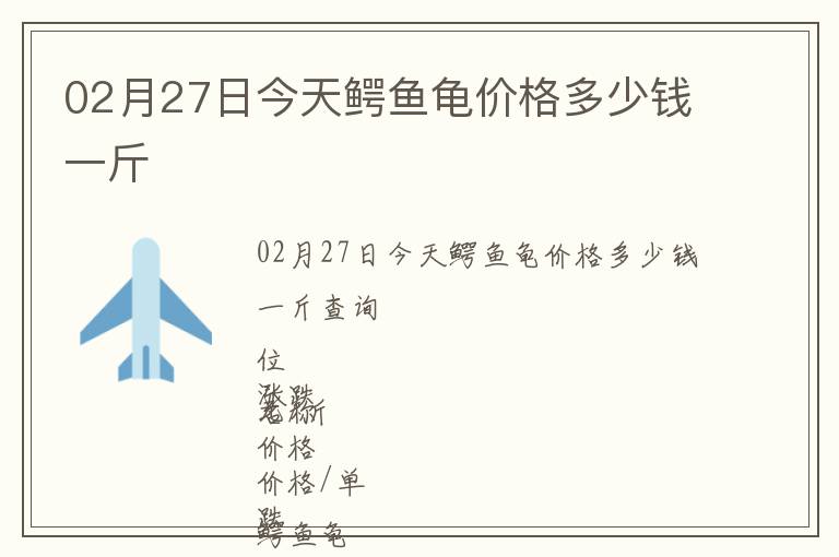 02月27日今天鱷魚龜價格多少錢一斤