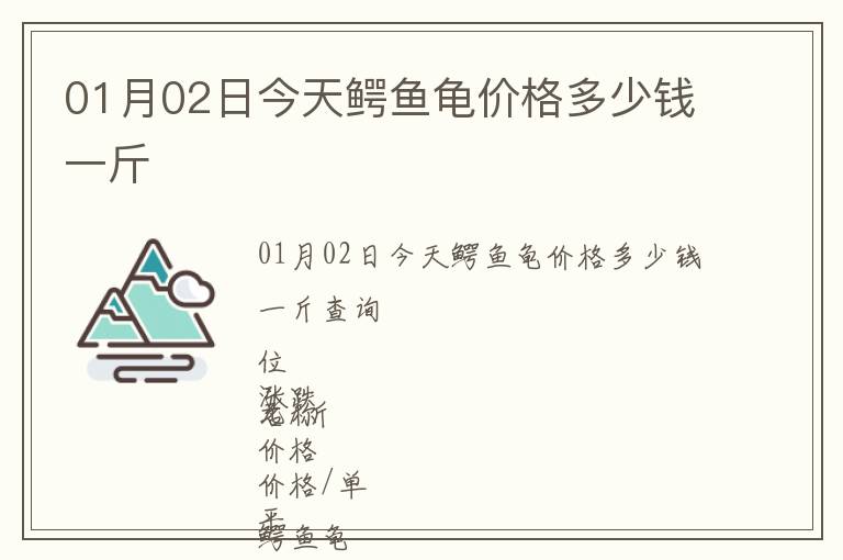 01月02日今天鱷魚龜價格多少錢一斤