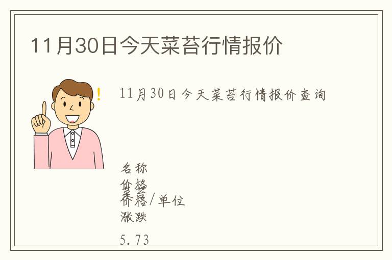 11月30日今天菜苔行情報(bào)價(jià)