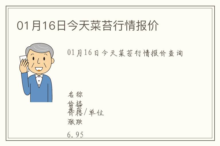 01月16日今天菜苔行情報價