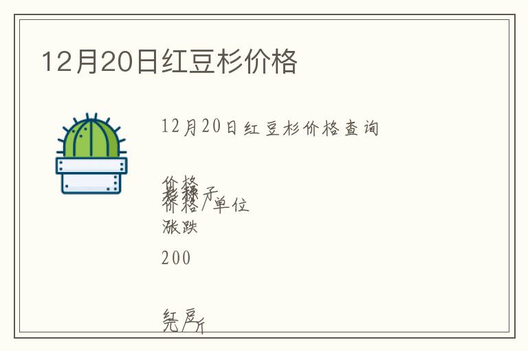 12月20日紅豆杉價格