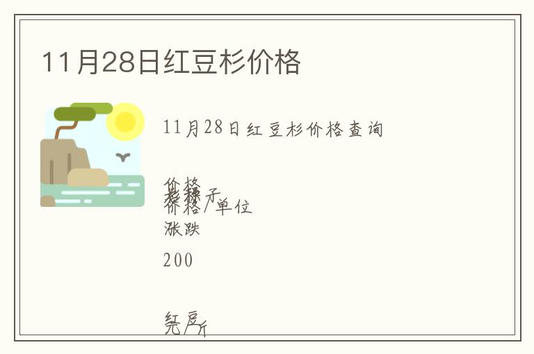 11月28日紅豆杉價格