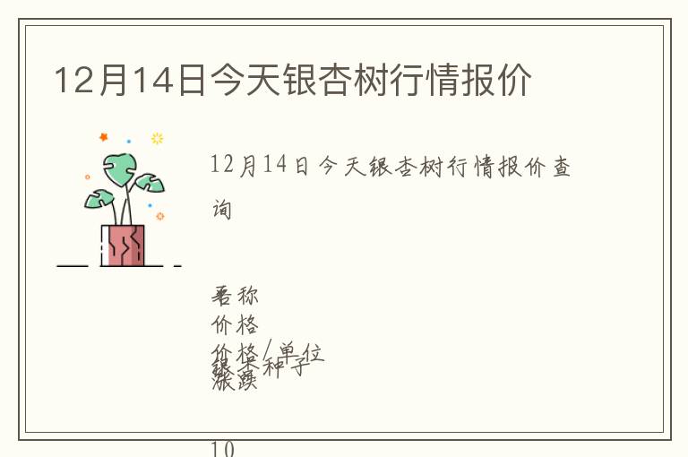 12月14日今天銀杏樹行情報價
