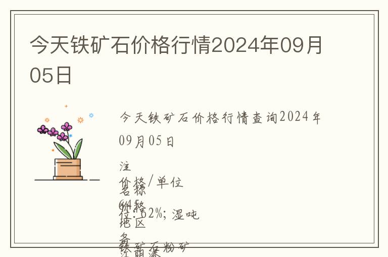 今天鐵礦石價格行情2024年09月05日