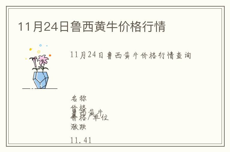 11月24日魯西黃牛價格行情