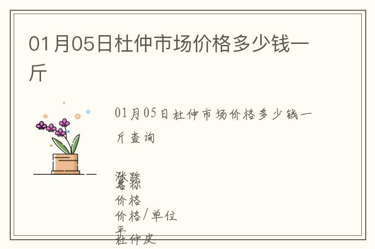 01月05日杜仲市場價格多少錢一斤
