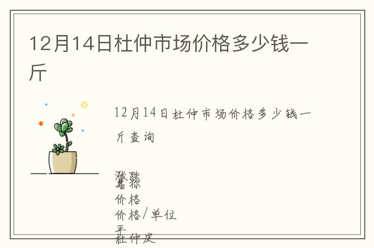 12月14日杜仲市場價格多少錢一斤