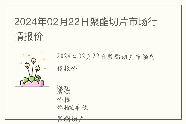 2024年02月22日聚酯切片市場行情報價