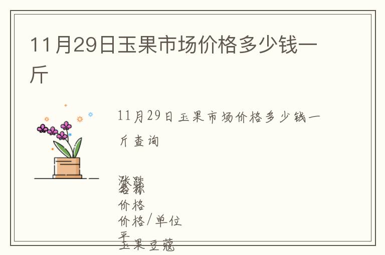 11月29日玉果市場價格多少錢一斤
