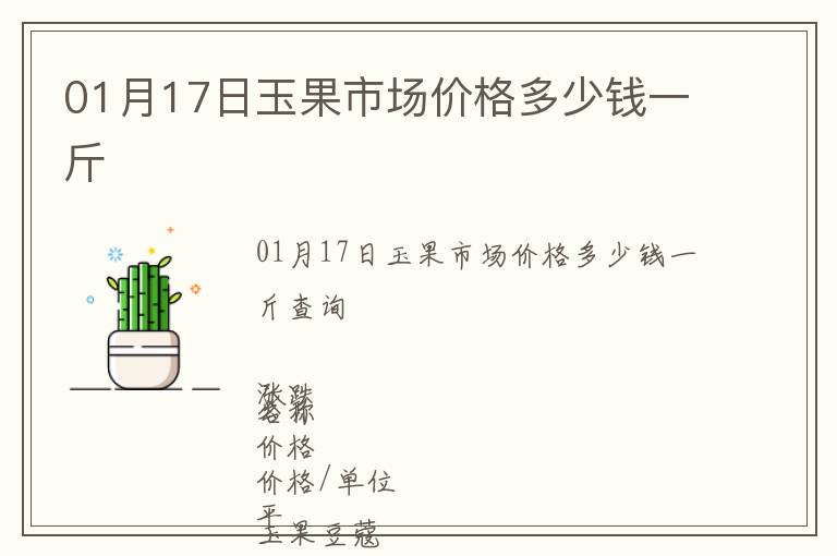 01月17日玉果市場價格多少錢一斤