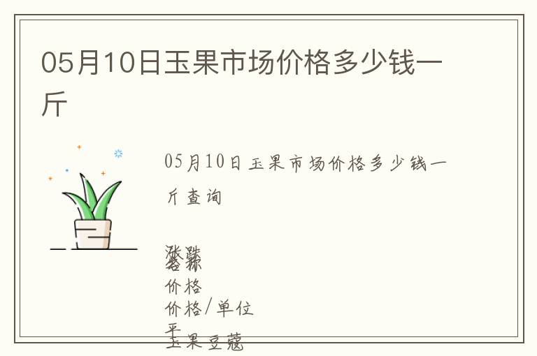 05月10日玉果市場價格多少錢一斤