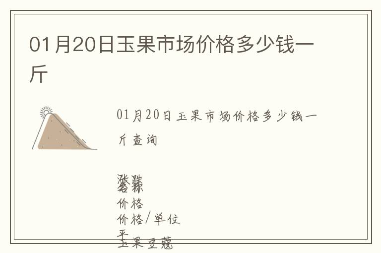 01月20日玉果市場價格多少錢一斤