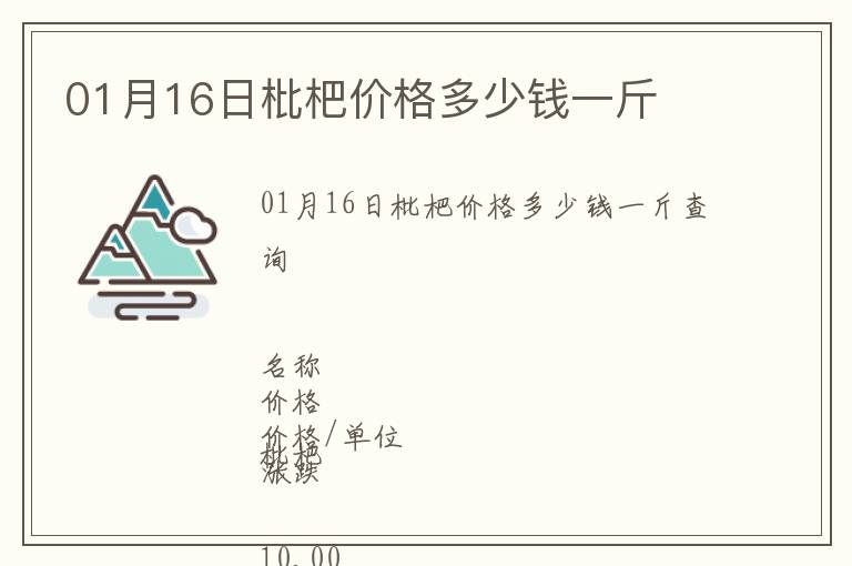 01月16日枇杷價格多少錢一斤