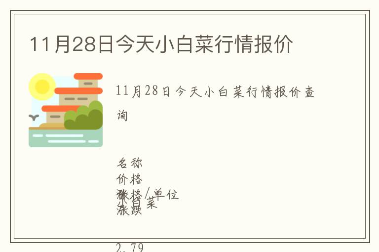 11月28日今天小白菜行情報(bào)價(jià)