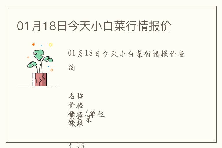 01月18日今天小白菜行情報價