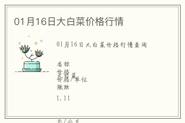 01月16日大白菜價(jià)格行情
