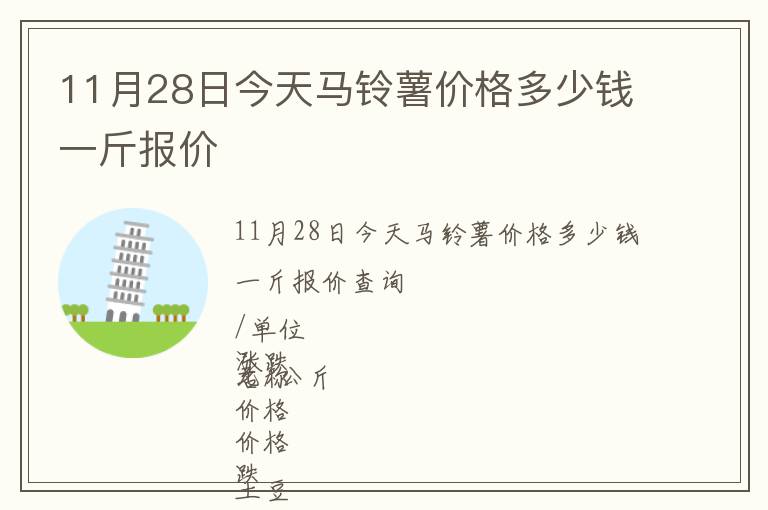 11月28日今天馬鈴薯價格多少錢一斤報價