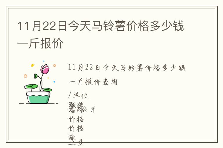 11月22日今天馬鈴薯價格多少錢一斤報價
