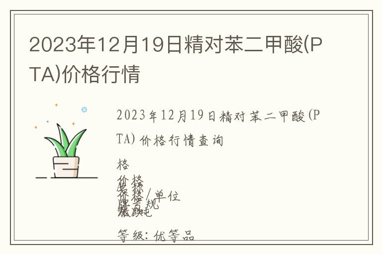 2023年12月19日精對苯二甲酸(PTA)價格行情