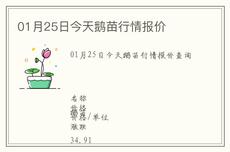 01月25日今天鵝苗行情報價