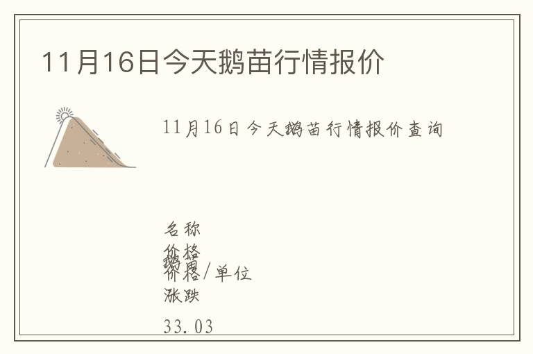 11月16日今天鵝苗行情報價