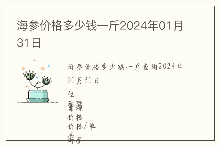 海參價格多少錢一斤2024年01月31日