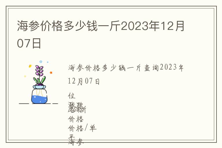 海參價(jià)格多少錢一斤2023年12月07日