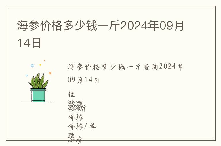 海參價格多少錢一斤2024年09月14日