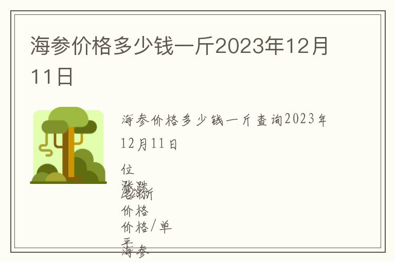 海參價格多少錢一斤2023年12月11日