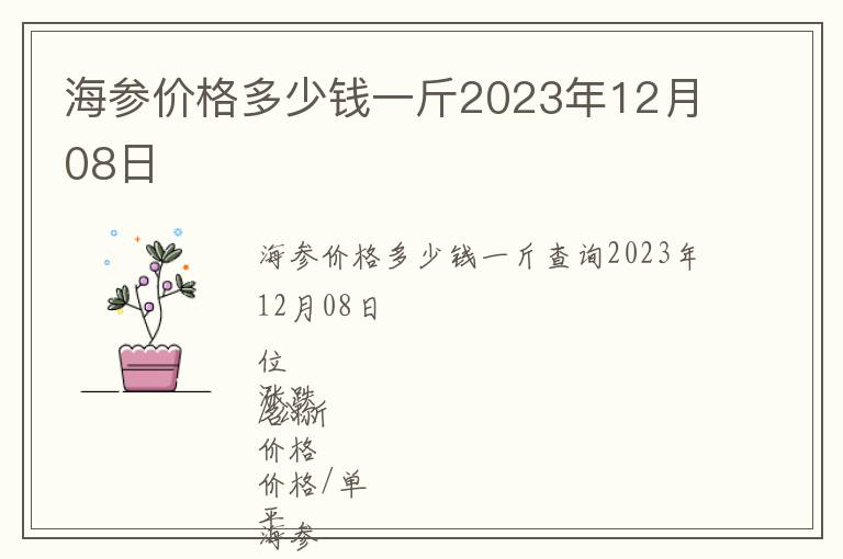 海參價(jià)格多少錢一斤2023年12月08日